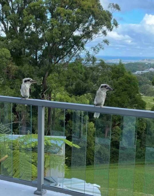 Ocean View Oasis, Coffs Harbour Appartement Buitenkant foto